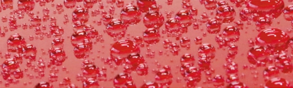 圧倒的な撥水力で水玉になります