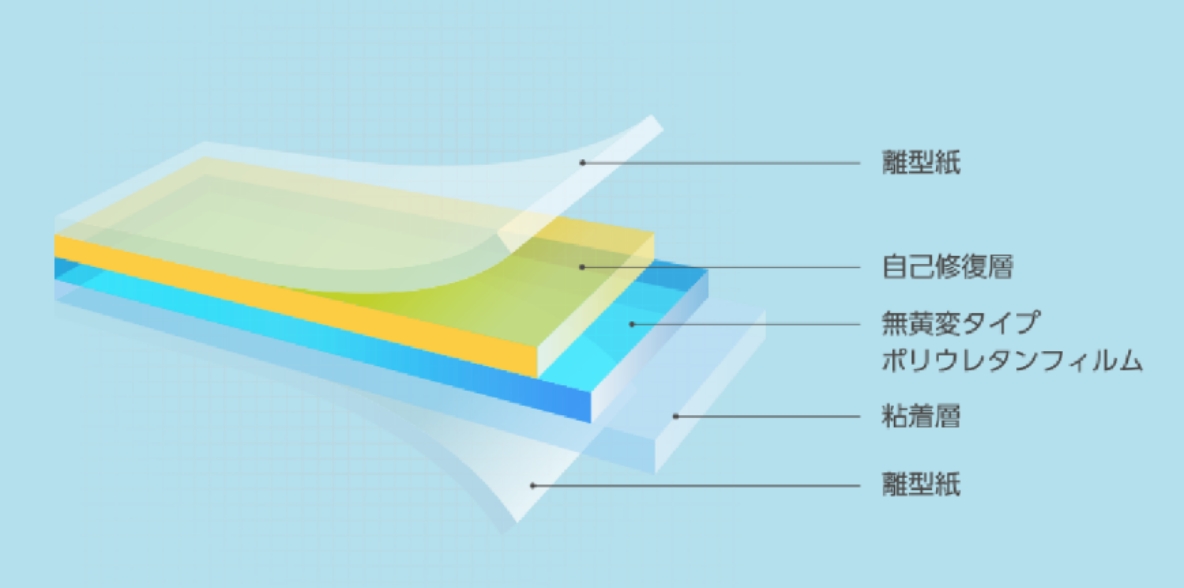ペイントプロテクションフィルムの構造図